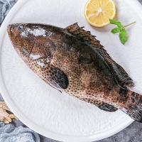 Cá mú cọp tươi sống, đảm bảo ngon